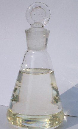1993524027.jpg