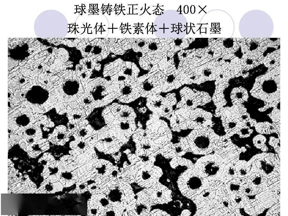 d916694918b447899fb83c60eea098d7.jpeg