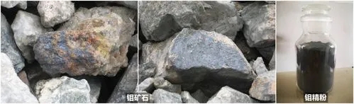 u=1215840007,3136863872&fm=253&fmt=auto&app=138&f=jpeg.webp.jpg