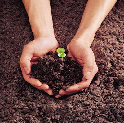 深圳种植土壤检测方法