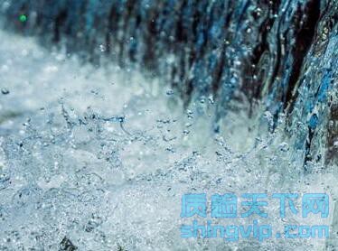 水质检测