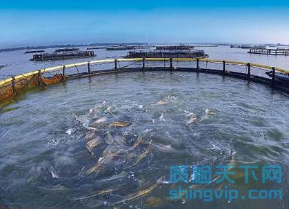 渔业水检测